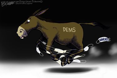 sbr022022dAPC20220219124516-375x275-1