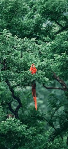 tumblr_afb5ad791b4204eb9e1d3e3cf4ebfdb3_728cb67b_1280