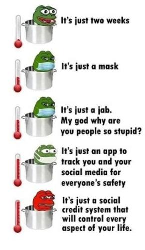 download.jpeg-19