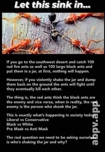 1f012c894d6579cd69dae8ac49fa5a57