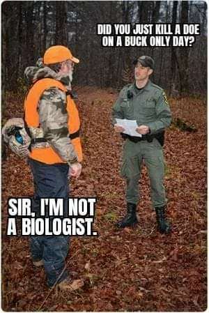 223eff19-d6b4-47bf-9573-1191db71058d