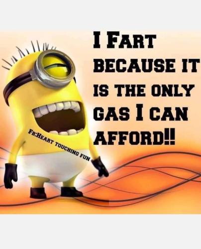 275668569_1362227217621997_8801788941955457529_n