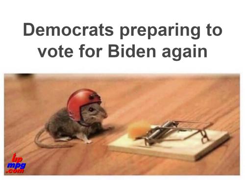 democrats_preparing_to_vote_for_biden_again