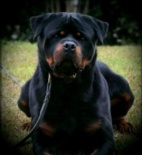 FB_IMG_1648057394924