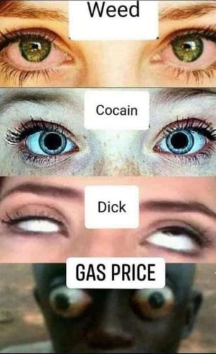 445bed26-737d-48c3-a2e0-c9c67e68bdc6