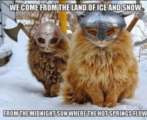 275769804_2169491386540377_849908059871306763_n