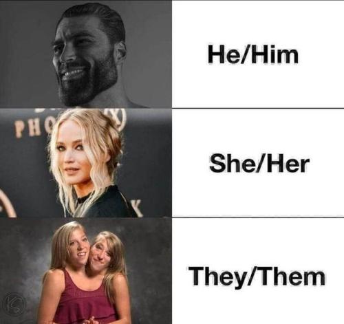 466BA894-BFBD-431F-B68C-B6E3023B6E79