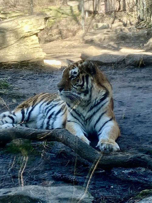 089E544B-B2B7-4F21-8DC6-CD011B102B6F