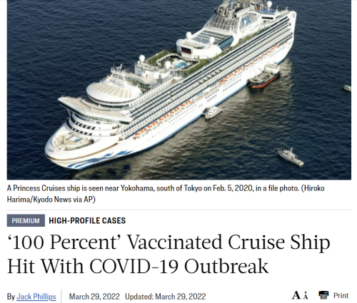 Cruise Ship 1