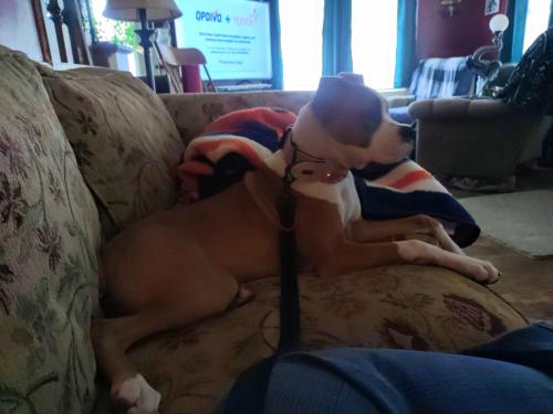 220a11fa-20cd-495e-8412-83f7b245ae76