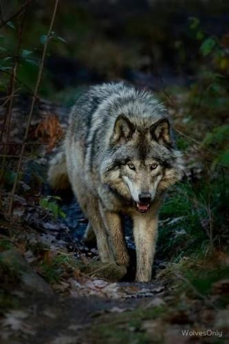 20:24:31 GMT-0500 (CDT)