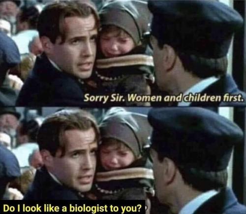 FB_IMG_1648333196845