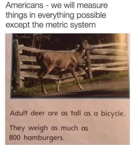 Screenshot_2022-03-19-07-22-55-66_a23b203fd3aafc6dcb84e438dda678b6