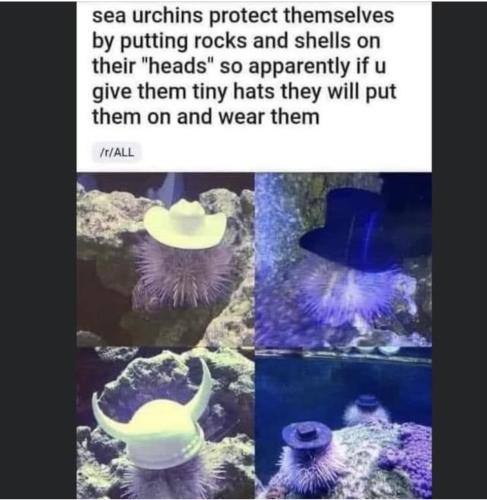 00:25:45 GMT-0500 (CDT).image