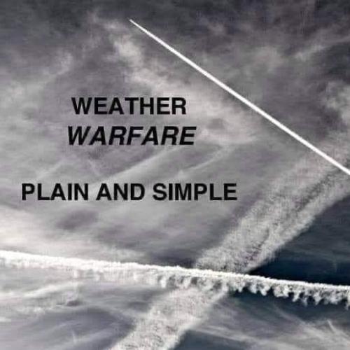 Silent Weapons 29