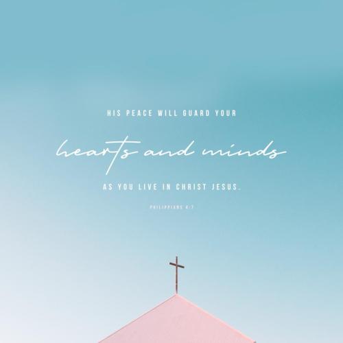 08:17:25 GMT-0500 (EST)