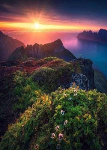 ,                                                                                                                                                                                                                          0 5