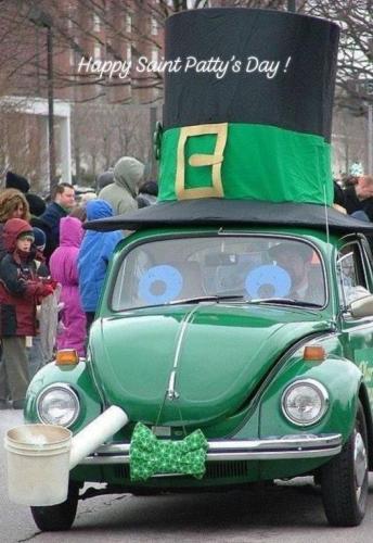 st pats bug