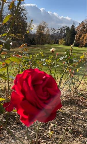 11:29:43 GMT-0600 (CST)