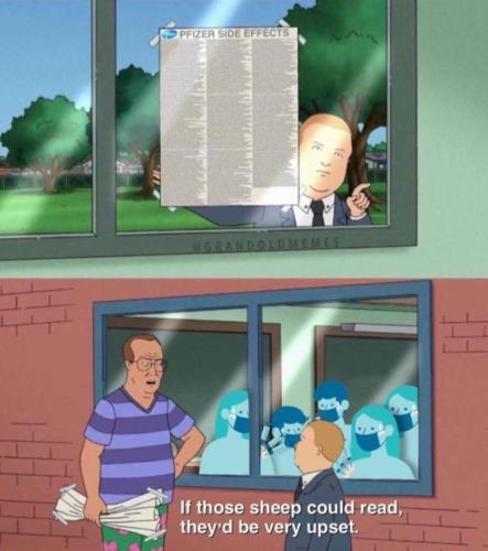 IMG_20220309_050944_299