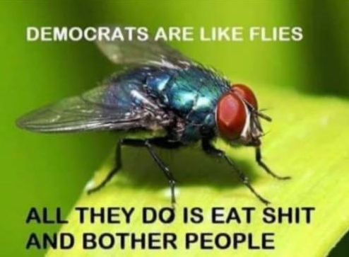 wk dems as flies