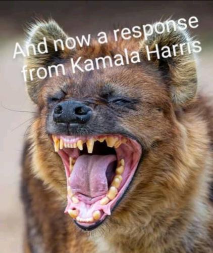 17:01:09 GMT-0400 (EDT).image