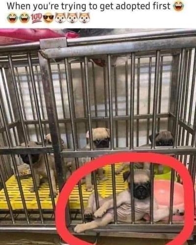 275370097_5467007766665736_8678906152023803131_n