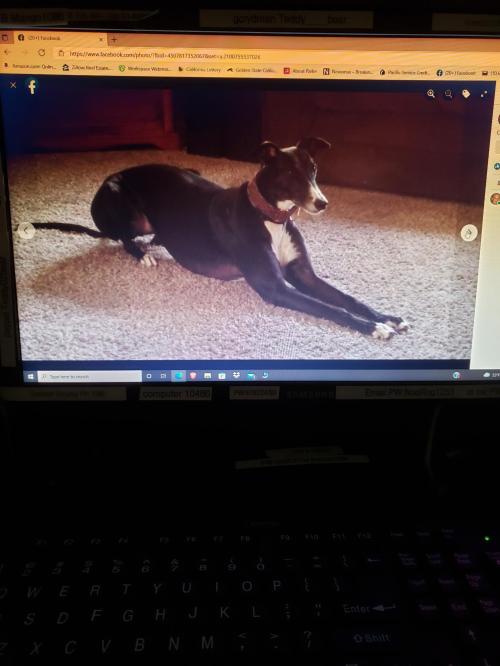 41398e07-f942-4d76-8441-b19d1695c2cd