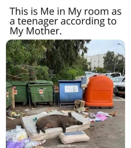 FB_IMG_1648070373372