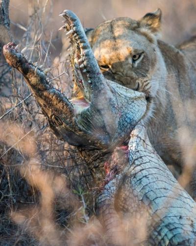 tumblr_012136224cc958f71885dbaa2d360893_705a9425_540