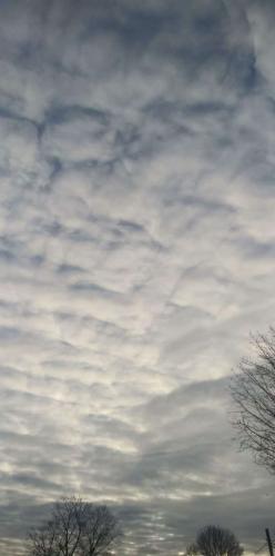 4c03bf6d-9e6a-4720-bd08-8baf3da224e3