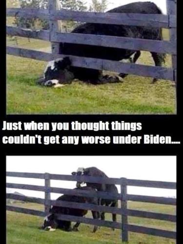 FB_IMG_1646927647825