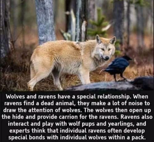 Screenshot_2022-02-27-17-02-03_kindlephoto-9238742648