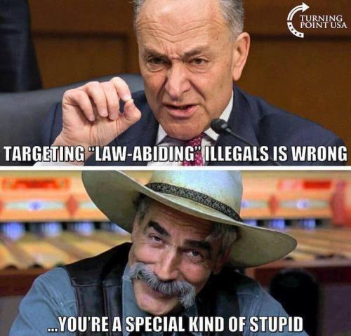 law abiding illegal f