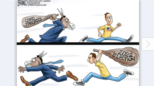 Screenshot 2022-02-11 at 11-05-17 Political cartoon of the day Fighting Back