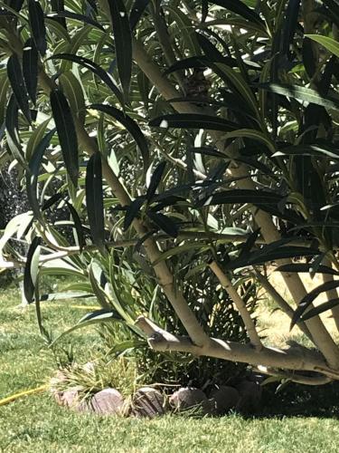 1A4C19F3-99C0-4B3E-A3D3-FCD2679FC3C3