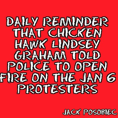 Lindsay Graham fire on jan 6