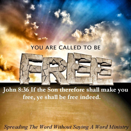 275622056_672273013892106_2360344274105337698_n