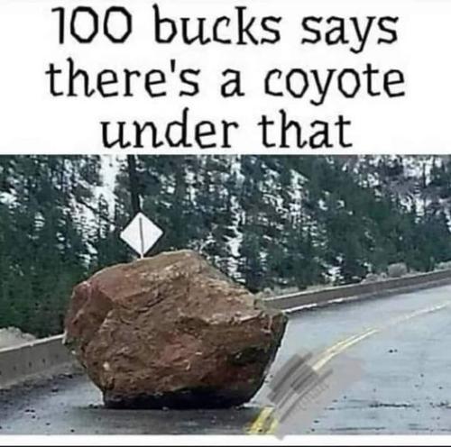 275071507_1884378205094828_1809025155969775816_n