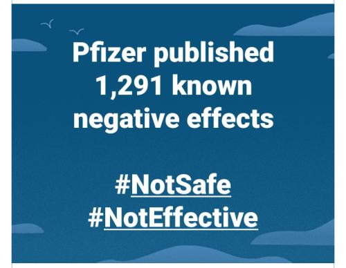 Screenshot_2022-03-10-17-13-18-82_a23b203fd3aafc6dcb84e438dda678b6