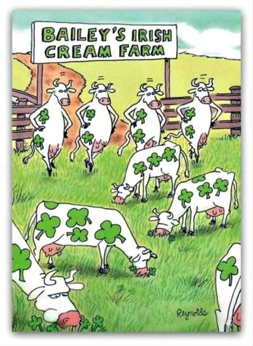 275080022_960737557911882_4600541419168679960_n