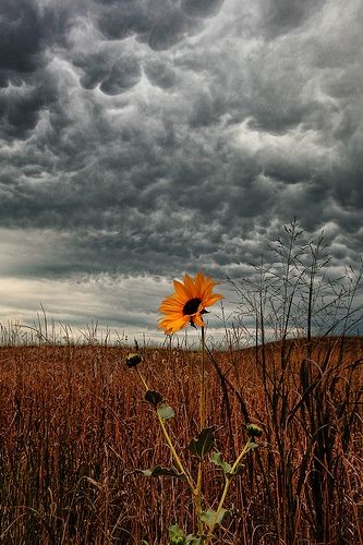 09:26:57 GMT-0600 (CST)