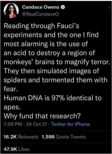 candace owens fear research