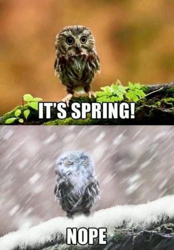 21:35:16 GMT-0500 (CDT).image