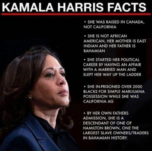 kamala harris187
