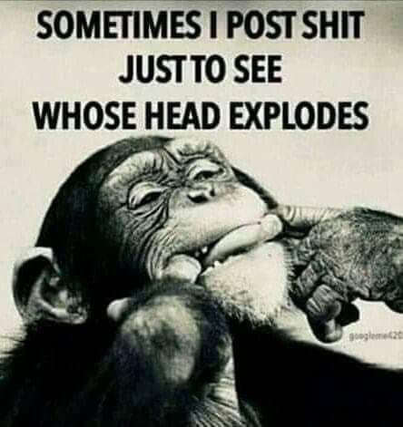 FB_IMG_1646329040145