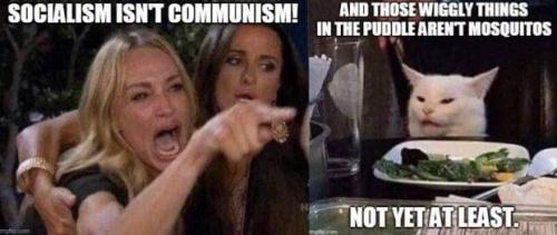 FB_IMG_1647460000139