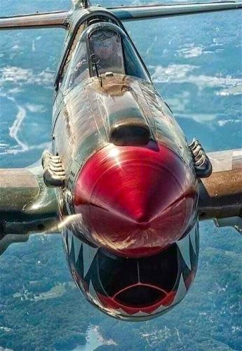 275108179_3149861458619525_6709153802665232334_n