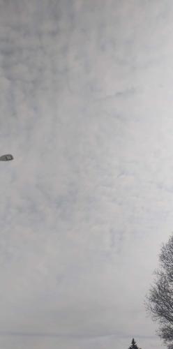 received_483934703361195