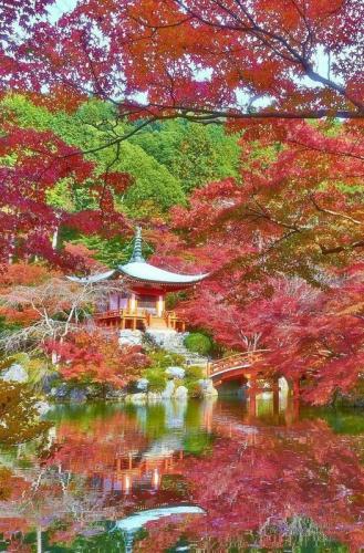 275944736_3076406989242423_5795136076149021177_n